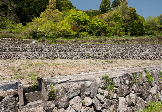 202104211200-DSC08813.jpg