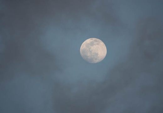 202104251832-DSC09116.jpg