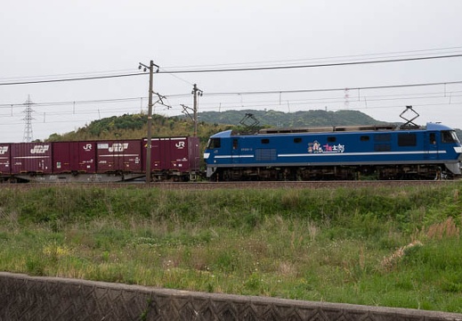 202105081312-DSC09312.jpg