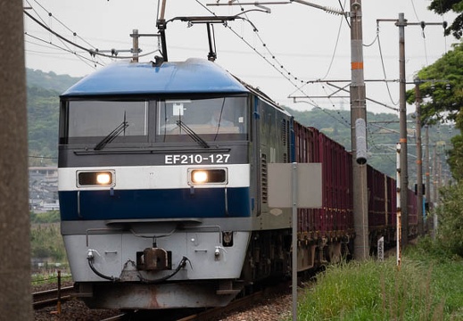 202105081338-DSC09346.jpg