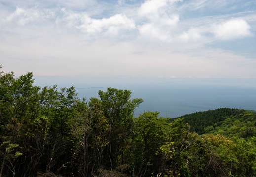 202105191249-DSC09518.jpg