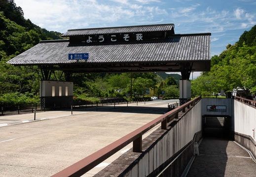 202105191421-DSC09534.jpg