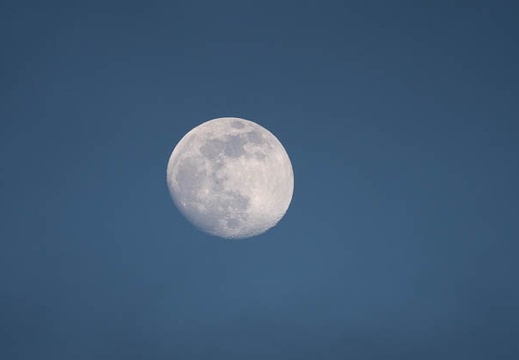 202105241911-DSC00156.jpg