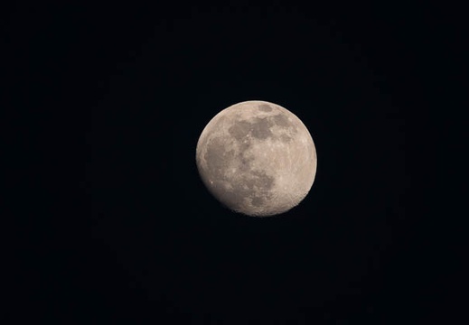 202105241924-DSC00163.jpg