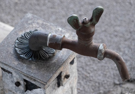 202105271440-DSC00434.jpg