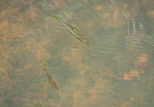 202106021451-DSC01124.jpg