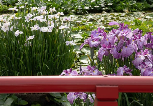 202106021509-DSC01183.jpg