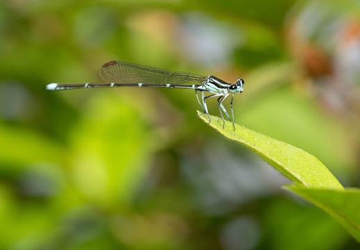 202106021527-DSC01234.jpg