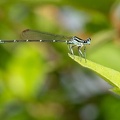 202106021527-DSC01234.jpg