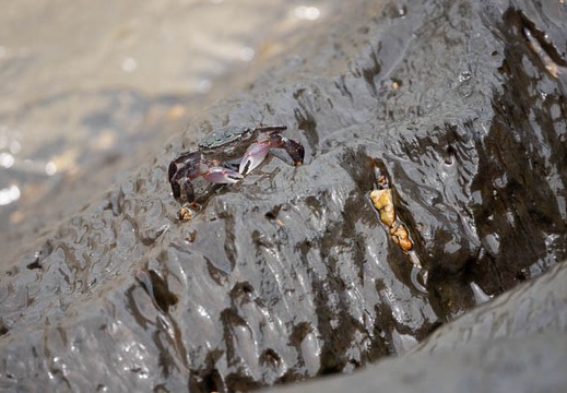 202106061103-DSC01364.jpg