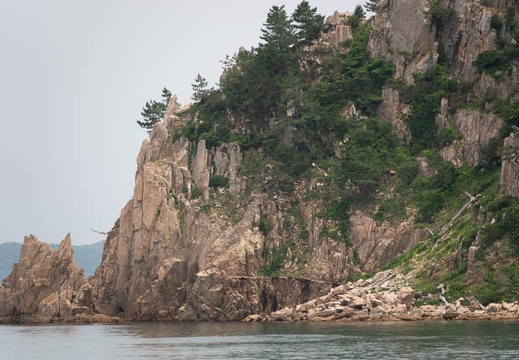 202106061112-DSC01393.jpg