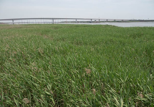 202106101205-DSC01730.jpg