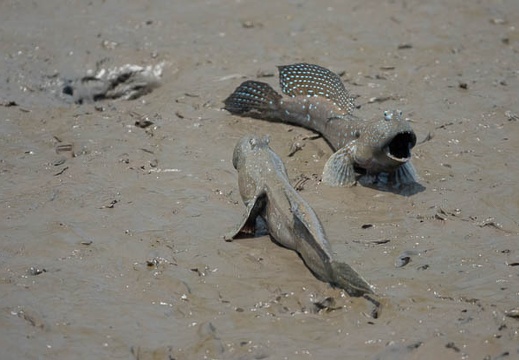 202106101326-DSC01862.jpg