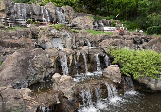 202106171456-DSC02342.jpg