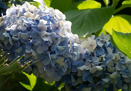 202107011521-DSC02824.jpg