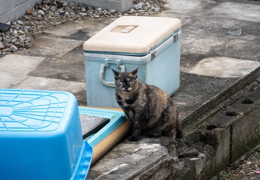 202107120751-DSC02855.jpg