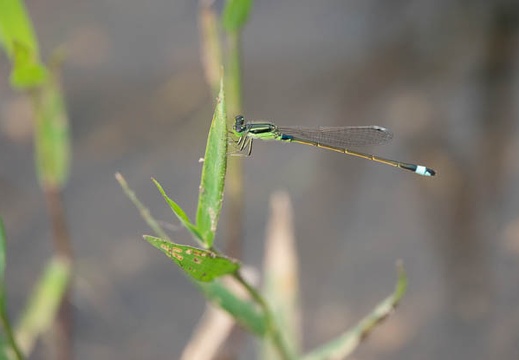202107121348-DSC02966.jpg