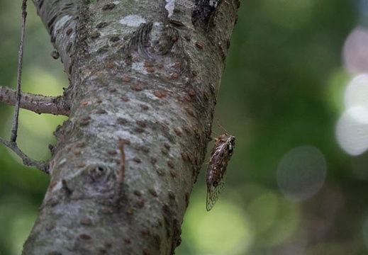202107201256-DSC03117.jpg