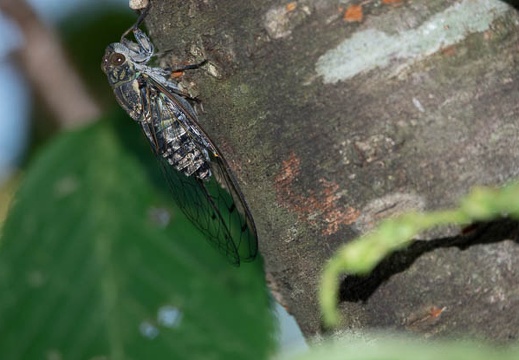 202107201307-DSC03142.jpg