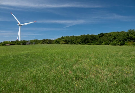 202107201349-DSC03208.jpg