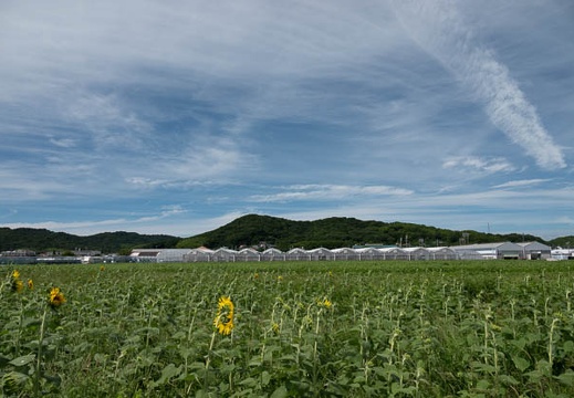 202107241436-DSC03454.jpg