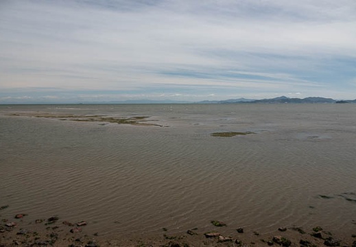 202107241451-DSC03474.jpg