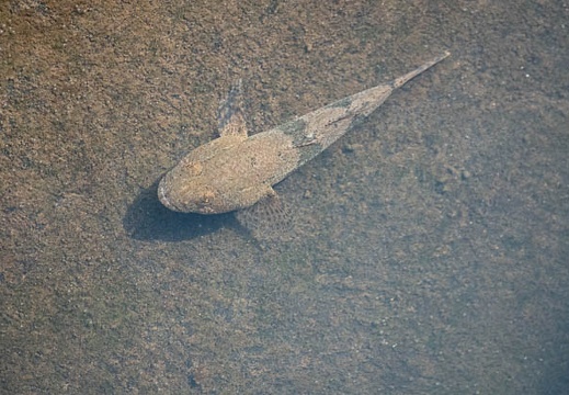202107241529-DSC03502.jpg