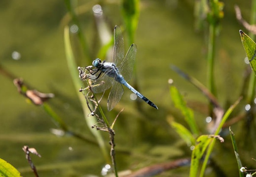 202107281442-DSC03654.jpg