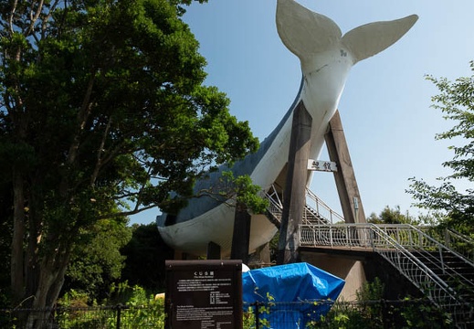 202107281518-DSC03679.jpg