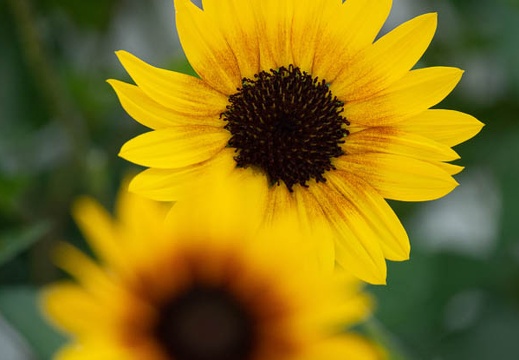 202107281559-DSC03742.jpg