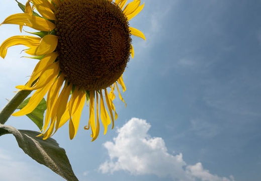 202107311439-DSC03976.jpg