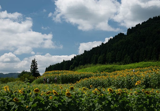 202108041129-DSC04079.jpg