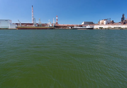 202108051331-DSC08856.jpg