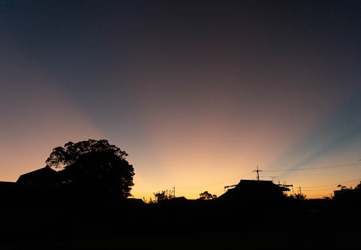 202108051934-DSC08885.jpg