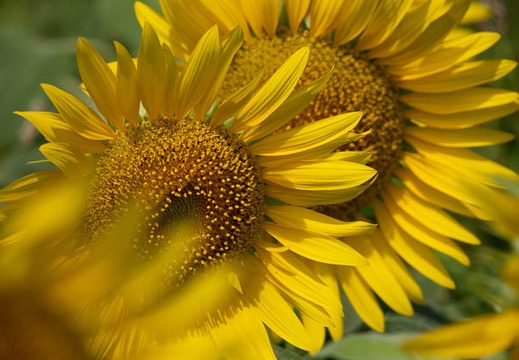 202108071028-DSC04605.jpg