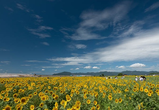 202108071055-DSC04646.jpg