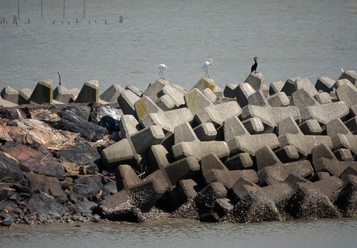 202108271503-DSC04801.jpg