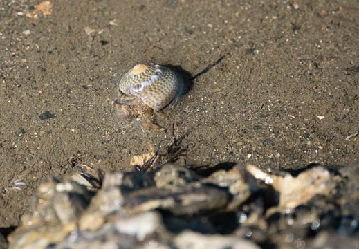 202108271521-DSC04850.jpg