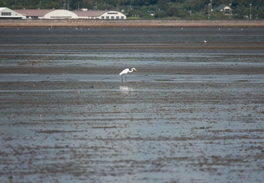 202108271526-DSC04856.jpg