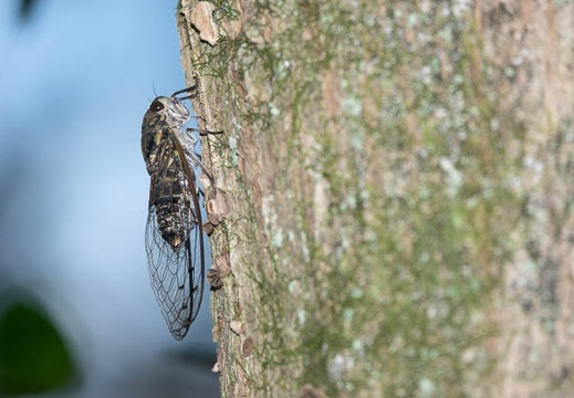 202109091651-DSC05075.jpg