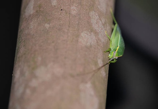 202109091700-DSC05087.jpg