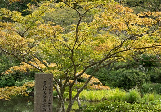 202109101116-DSC05264.jpg
