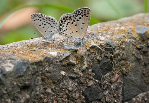 202109101245-DSC05312.jpg