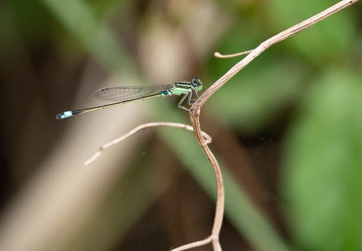 202109101354-DSC05323.jpg