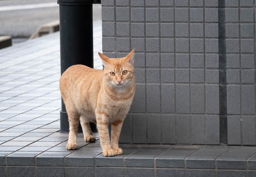 202109110801-DSC05463.jpg