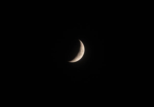 202109111856-DSC05537.jpg