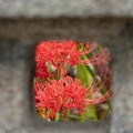 202109211211-DSC06003.jpg