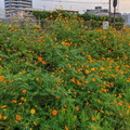 20210923070237-M2101K9R.jpg