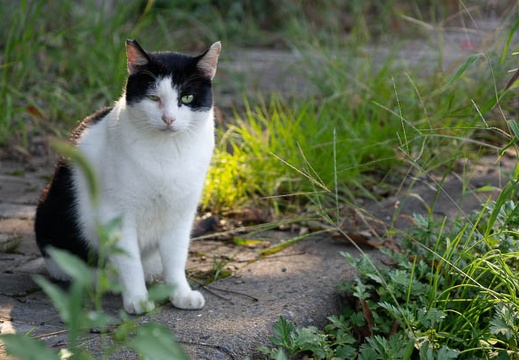 202109240916-DSC08852.jpg