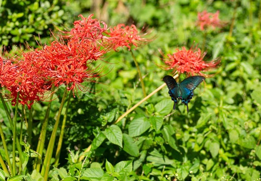 202109240923-DSC08869.jpg